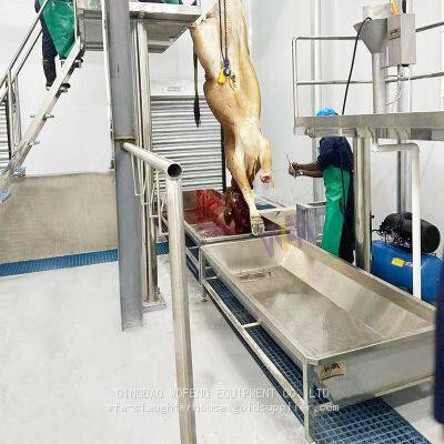 Specially Customized Bull Butcher Machine Blood Trough For Cow Slaughter House