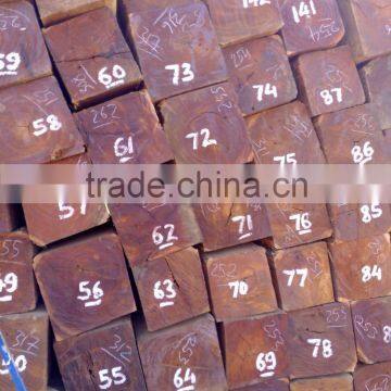 Good Price Vietnam Pyinkado Cambodia wood