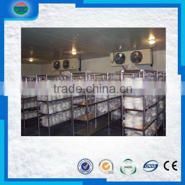 Made in china customized ca cold storage/cold room for garlics