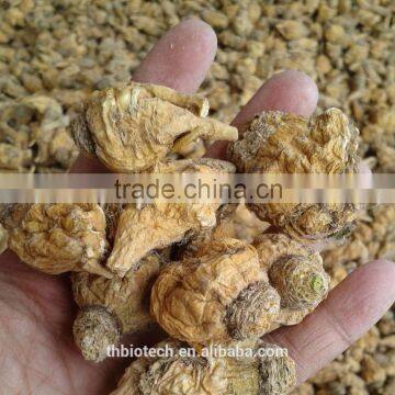 Manufacturer Pure Natural High Quality Maca Capsules photo-5