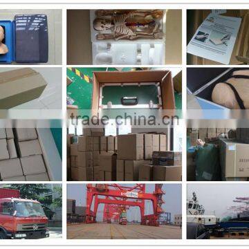 High Quality Small Size Human Chinese Acupuncture Model 26cm photo-6