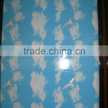 Oumega P356 Transfer Printing PVC Panel photo-4