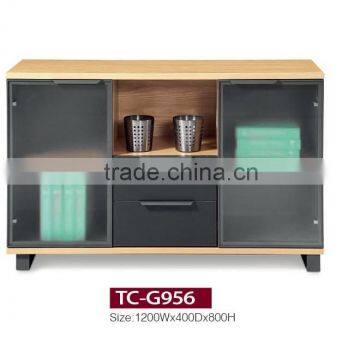 Cheap glass door cabinet TC-G956