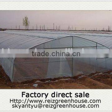 15 years warranty 100% bayer reinforced cheap plastic agriculture single span tunnel greenhouse                        
                                                Quality Choice
                                                    Most Popular