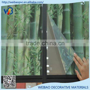 Self-Adhesive hot green static non-glue glass film 3d