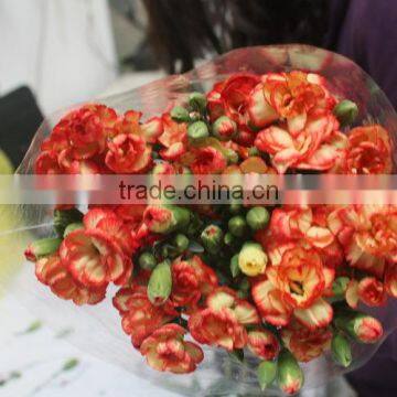 Elegant in smell hot sale fresh carnation for home decoration