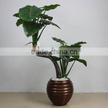 artificial House plant Dracaena fragrans bonsai fake Dolyscias fruticosa potted plant 150cm H artificial plant