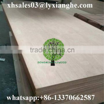 100% Keruing Plywood for Container Flooring