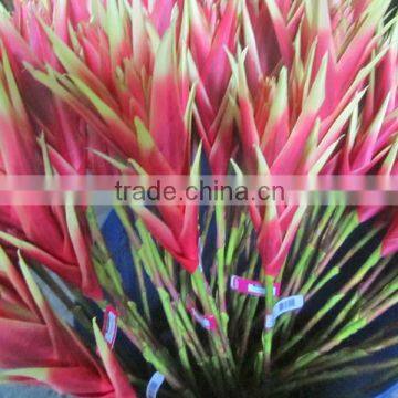silk tropical flower tropical presentation