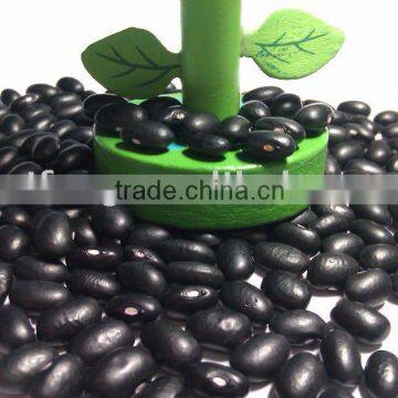 Organic Black Kidney Bean( 2010 crop, Heilongjiang origin, HPS)