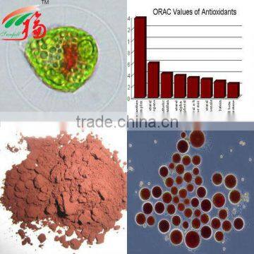 100% natural Haematococcus Powder