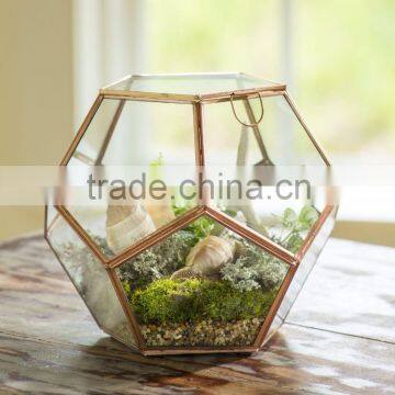 Geometric Terrarium, glass boxes for jewelry wholesale box, Planting pot, Planter,