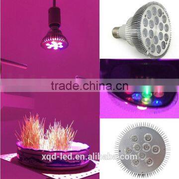 Newest Popular 7w Chip Led Grow Light photo-4