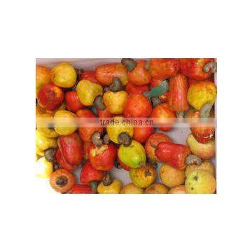 Raw Cashew With Shells photo-2