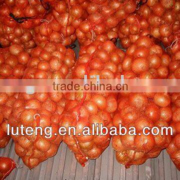 Chinese best quality Yellow Onion-professional for Africa market