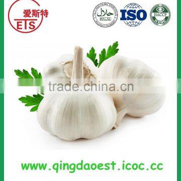 Fresh White Garlic Size :4.5-6.0 cm photo-5