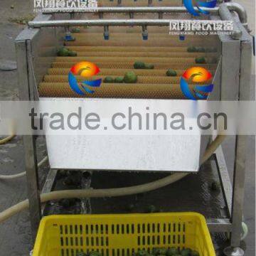 Spray Type Fruit/Melons/Vegetable Washing Machine With Roller Brushes photo-4