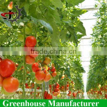 High Qualitysolar Powered Greenhouse With Hyroponic System photo-2