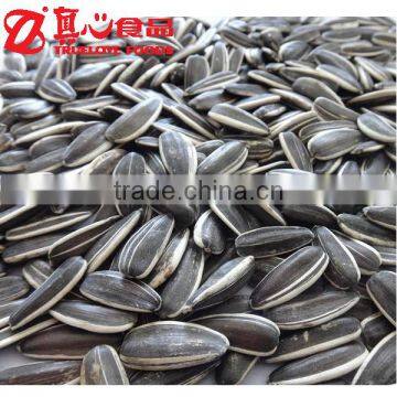 Raw Processing Bulk Sunflower Seeds