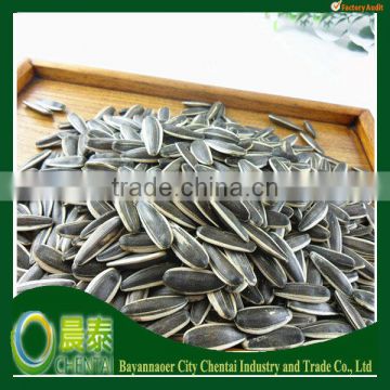 Sell Big Size Inner Mongolia Sunflower Seeds Raw