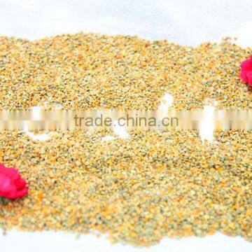 Wholesale organic Bee Pollen Food Grade Pollen bee