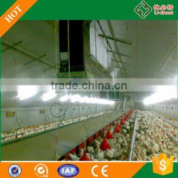 Female and male chick automatic breeder poultry house for floor breeding