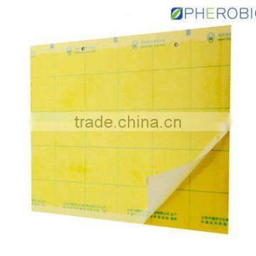 Pest controlling glue card for tea garden
