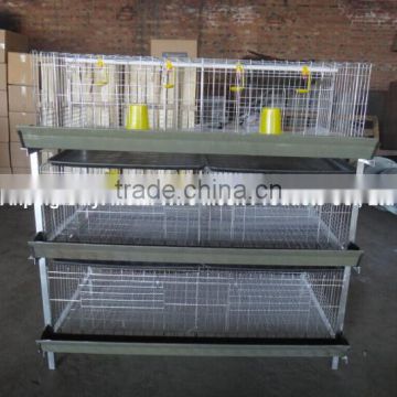 Design Broiler Chicken Cages