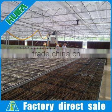 Agricultural and Commercial Hot Galvanized Steel Greenhouse Bench for Seed photo-4