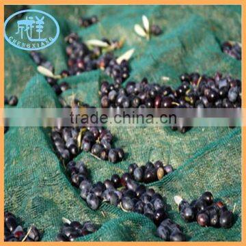 HDPE olive harvest netting for sale