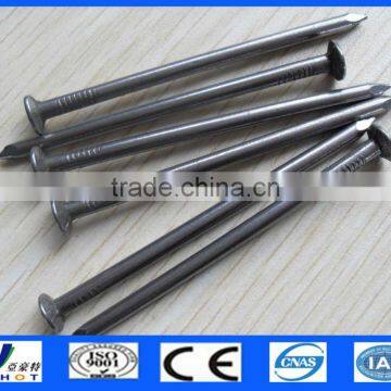 Galvanized Polished Common Nails