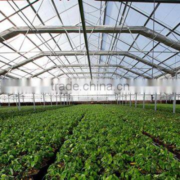 Commercial Greenhouses China