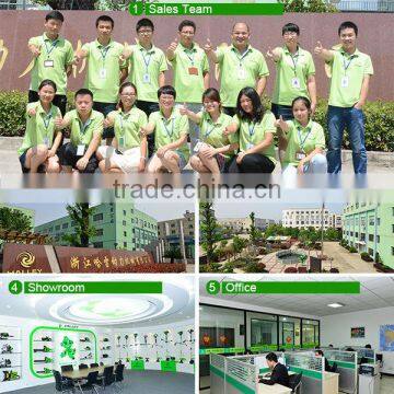 Halley Brand Small Outboard Motor With China Engine photo-3