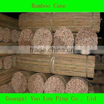 Fencing Pole Bamboo Cane Supplier