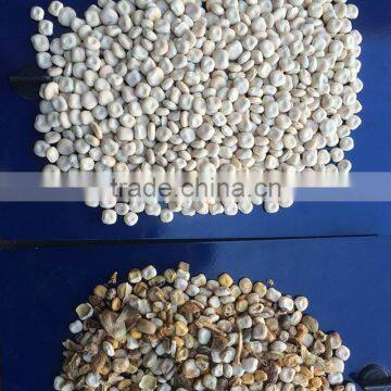 New Products Computerized Paint Color Mixing Machine photo-6