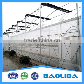 6m/8m/9/Arch Roof Greenhouse For Vegetables With Side Ventilation Covered By Plastic Film