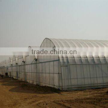 Steel structure building arch greenhouse