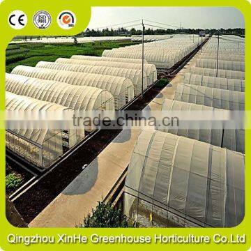 Hot Galvanized Pipe Cheap Plastic Film Agriculture Single Span Tunnel Greenhouse photo-2