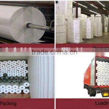 Cheap Price Nonwoven Roll, Spunbond Nonwoven Fabric,pp Non Woven Roll photo-2