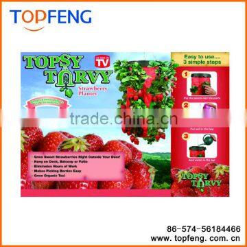 Hanging Strawberry Planter