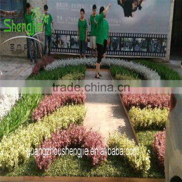 SJLJ013601 High Quality Artificial Green Wall Indoor Outdoor Decorative Artificial Grass Wall photo-4