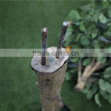 Artificial Bonsai Trees Artificial Orange Tree With Fruit Real Trunk Artificial Tree photo-4