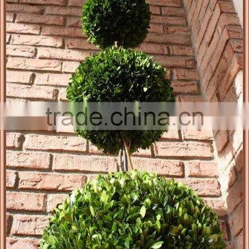 Preserved Boxwood Triple Balls Tree Topiary photo-4