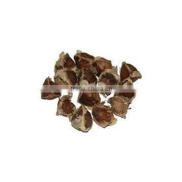 Moringa Olifera Seeds