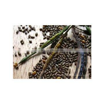 100% clean cassia seed