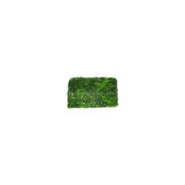 Frozen Spinach