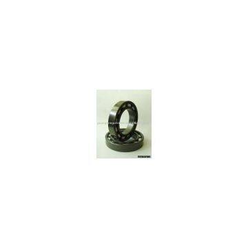 Zirconia Ceramic bearing--Pump