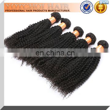 100% brazilian human hair cheap wholesale ebony hair south africa