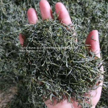 China's Advanced Green Tea Enshi Selenium Rich Longjing Tea Healthy Weight Loss TeaSelenium-rich Longjing TeaEnshi Longjing TeaSelenium Tea photo-3