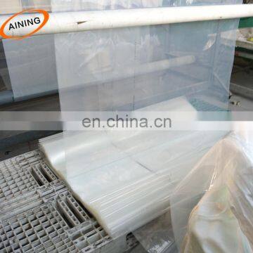 PE PO Film Tunnel Plastic Greenhouse Film Agriculture